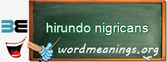 WordMeaning blackboard for hirundo nigricans